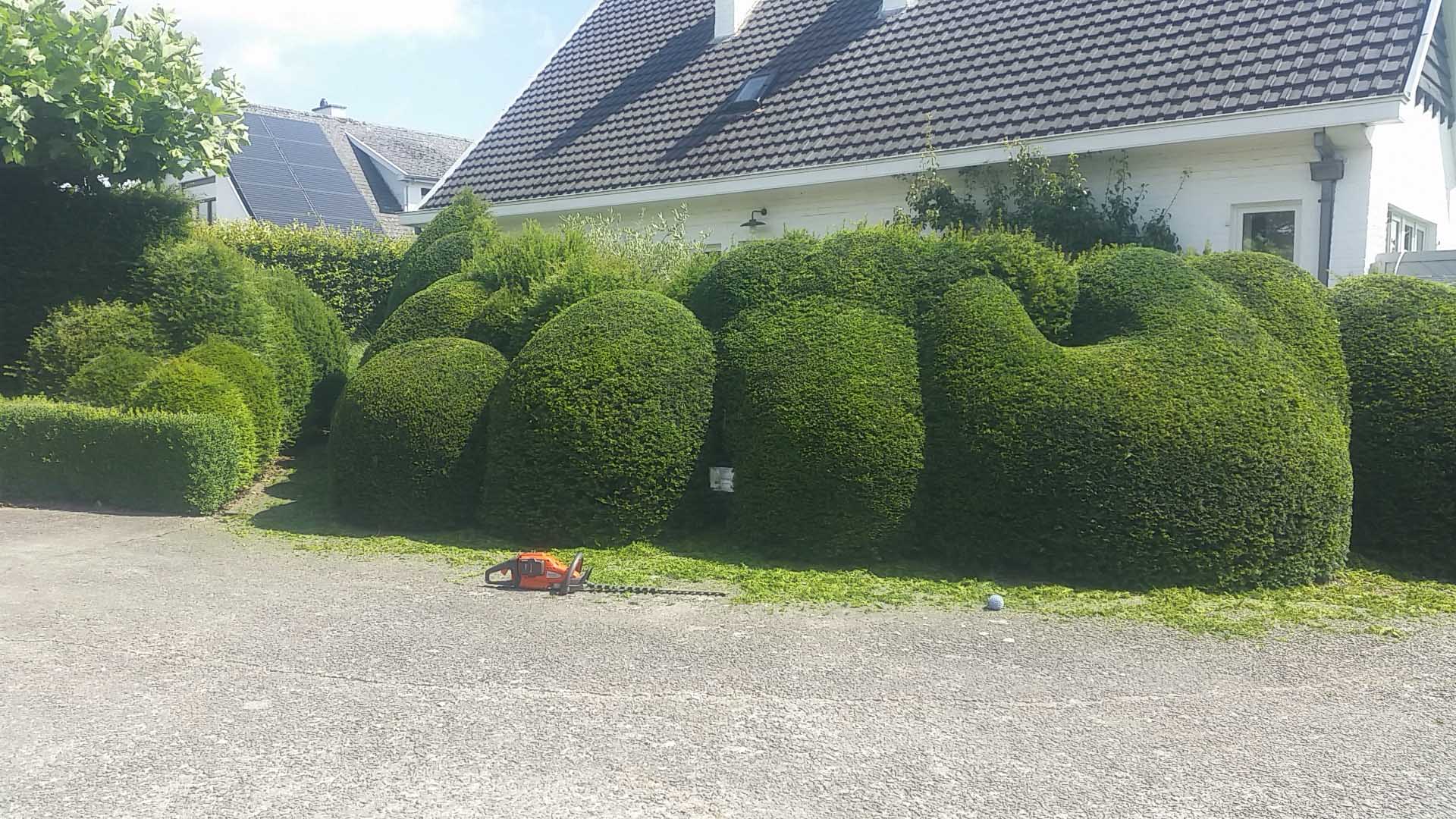 Tuinonderhoud 11