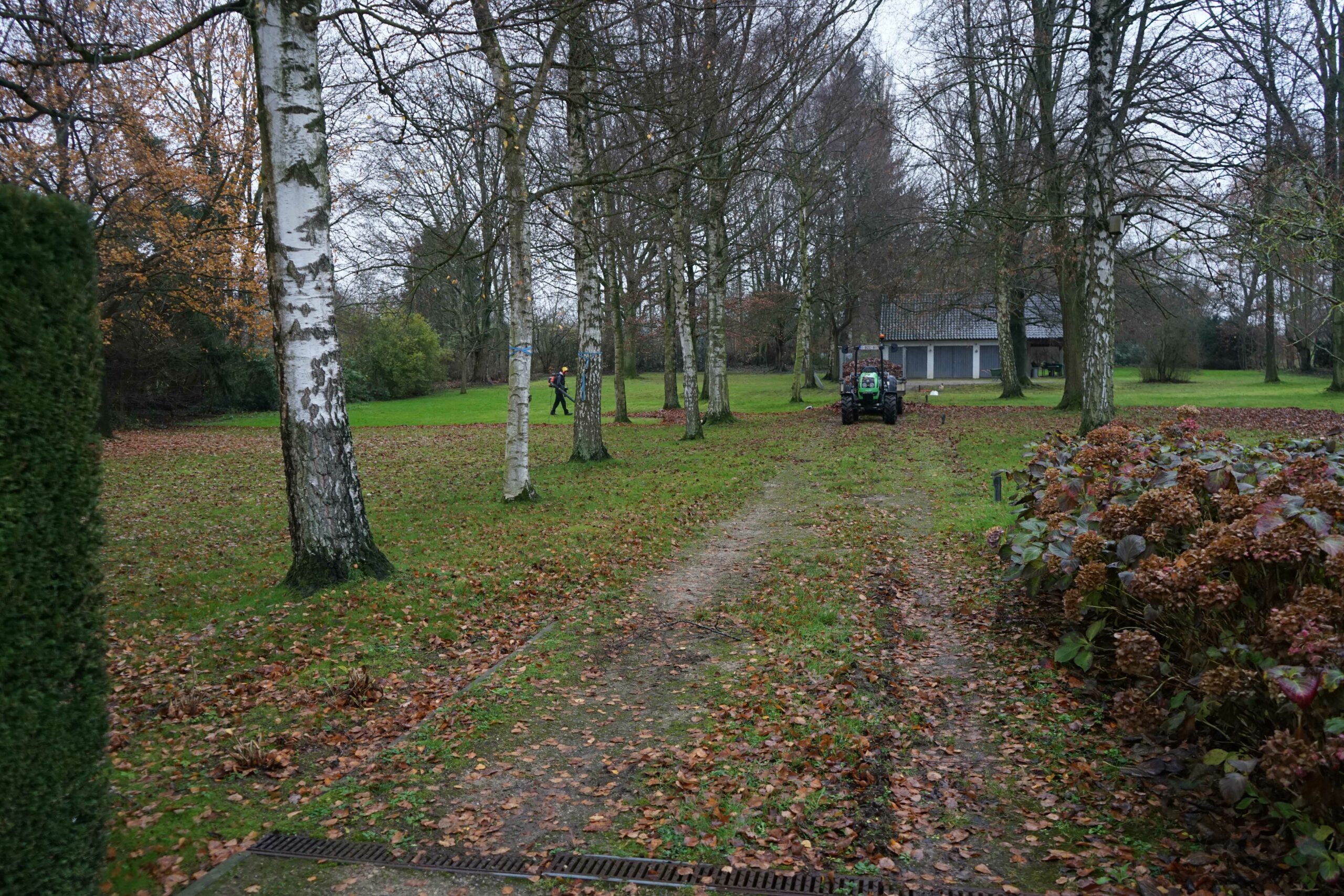 Tuinonderhoud 7